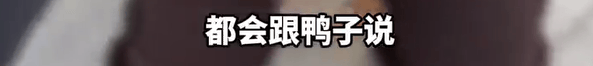 本菲卡 vs 勒洪库森_养了四年的宠物鸭被汽车碾死本菲卡 vs 勒洪库森，老太太当街包鸭痛哭，目击者：她老伴重病，鸭子是用来祈福的