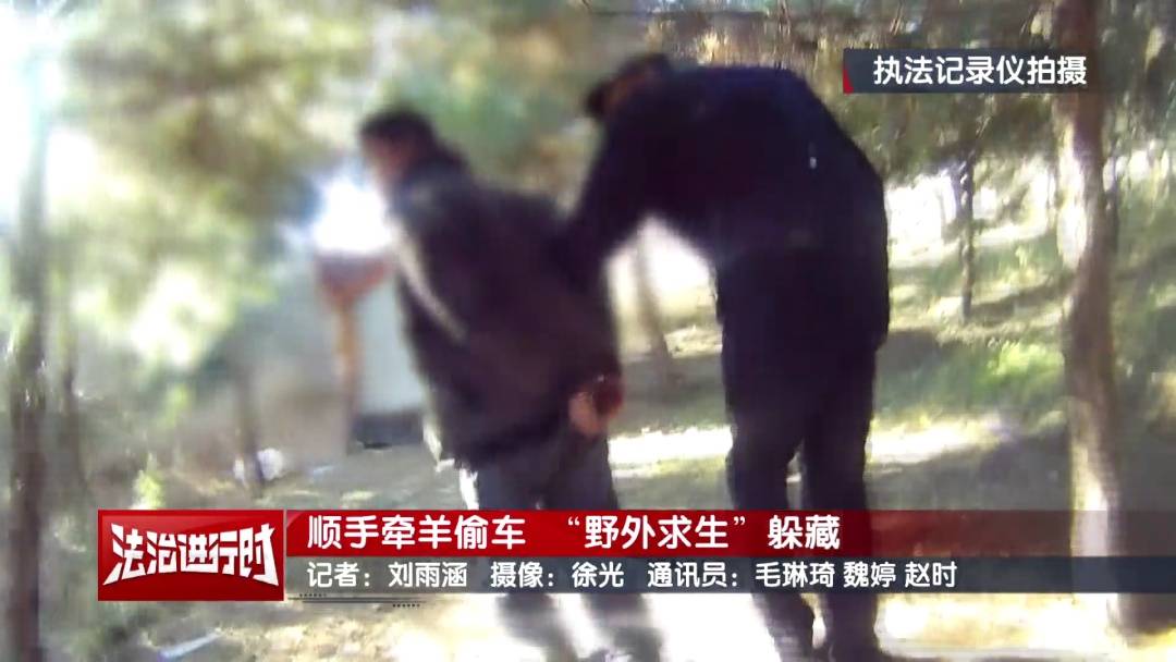 皇冠登录地址_北京警方刑拘1名“荒野求生”爱好者